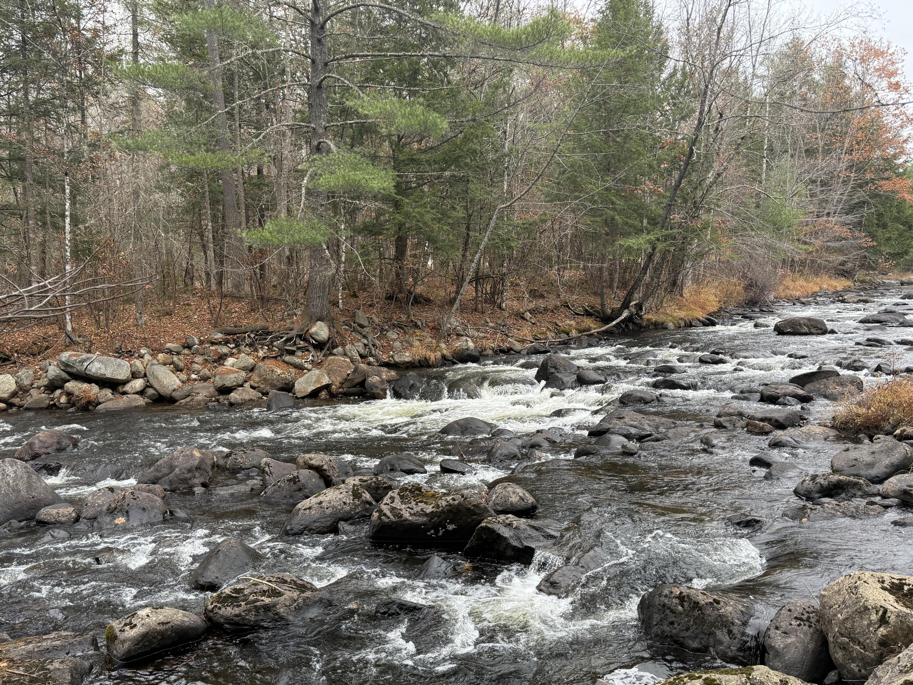 L50 Storer Hill Road Carthage ME 04224