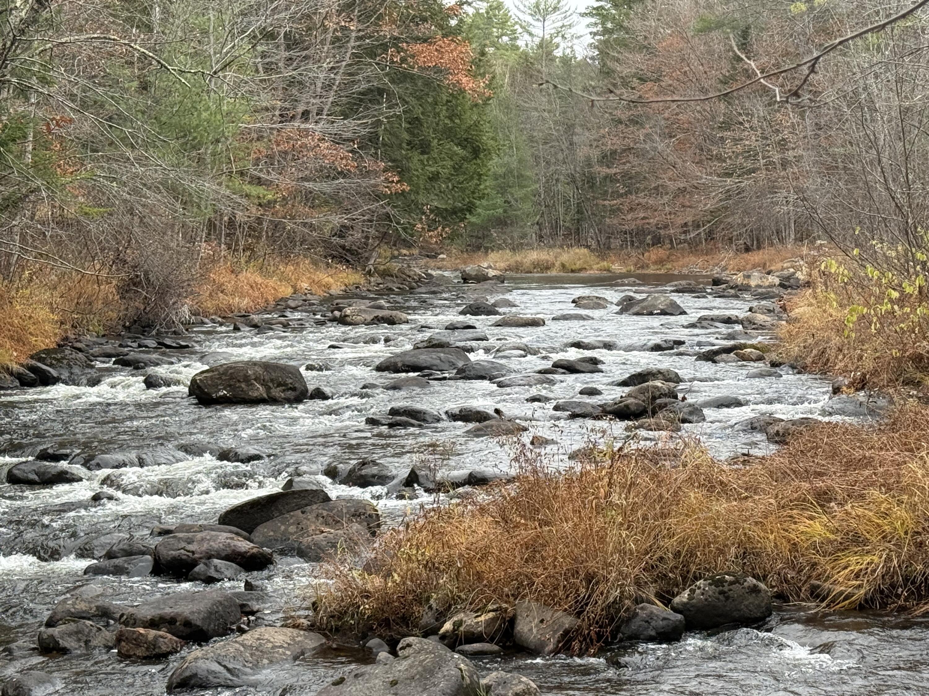 L50 Storer Hill Road Carthage ME 04224