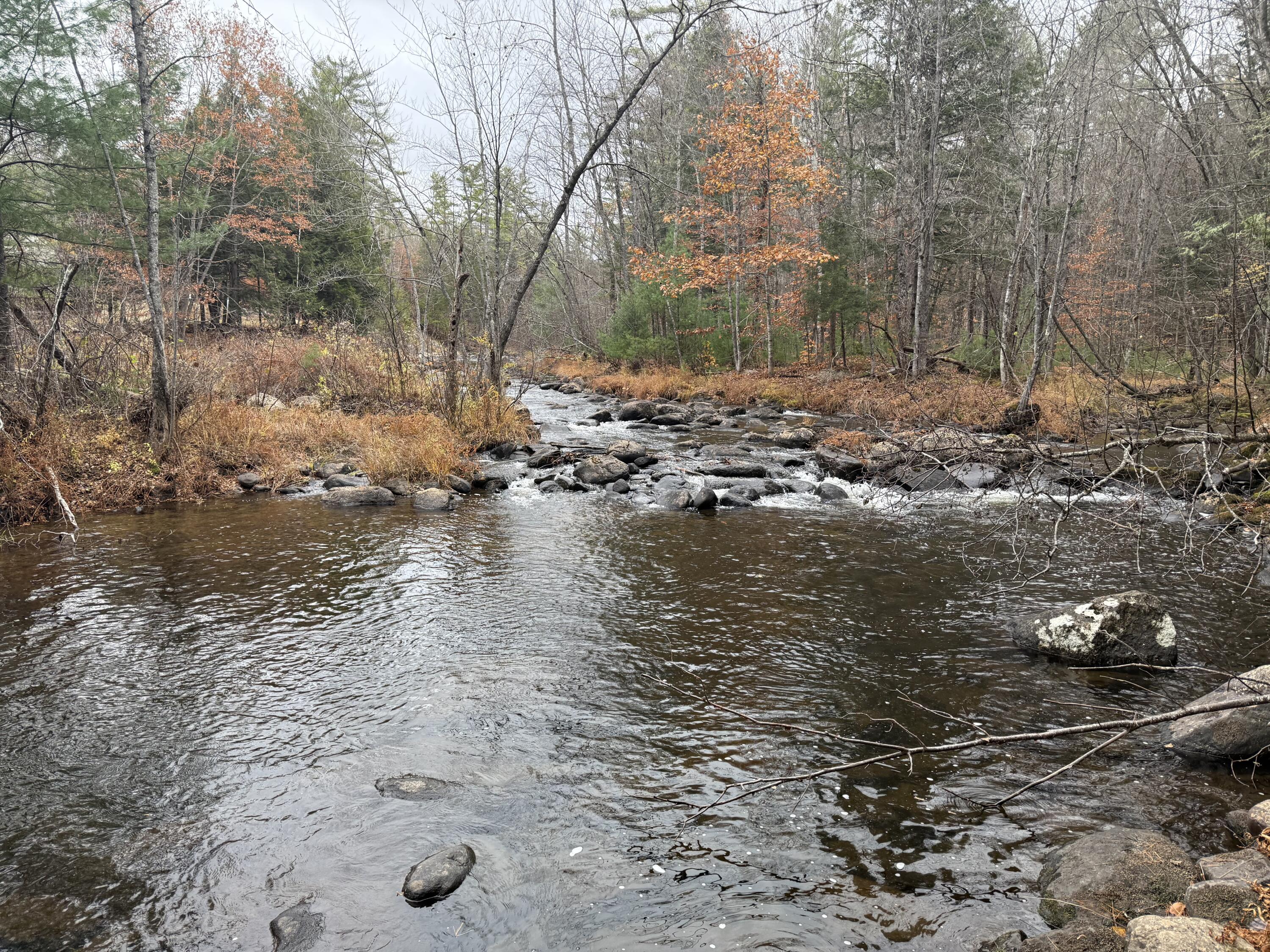 L50 Storer Hill Road Carthage ME 04224