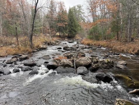 L50 Storer Hill Road Carthage ME 04224