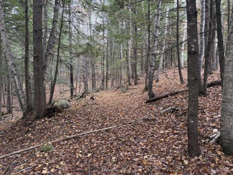 L50 Storer Hill Road Carthage ME 04224