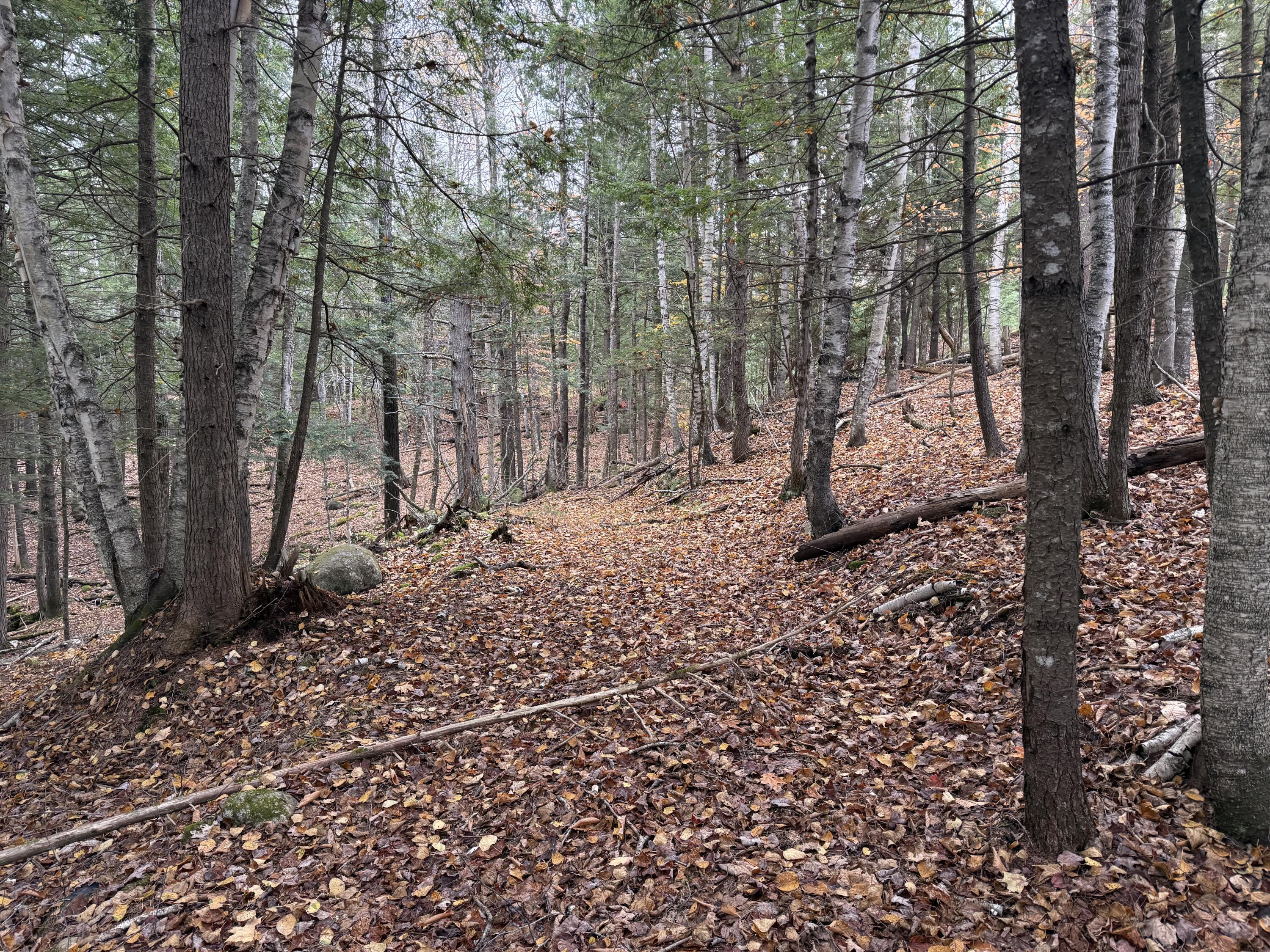 L50 Storer Hill Road Carthage ME 04224