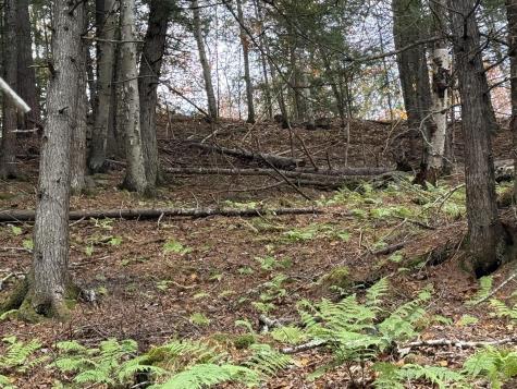 L50 Storer Hill Road Carthage ME 04224