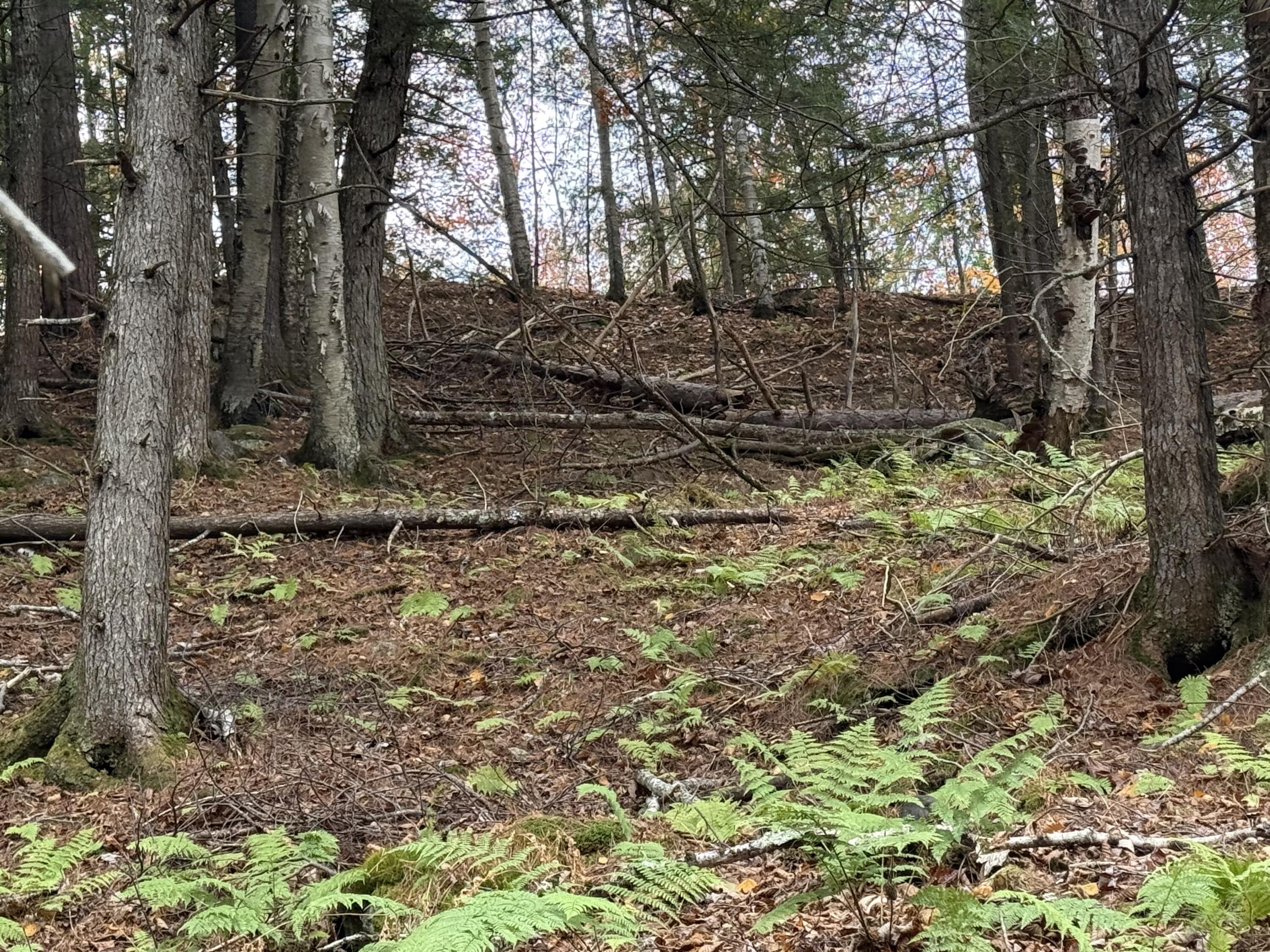 L50 Storer Hill Road Carthage ME 04224