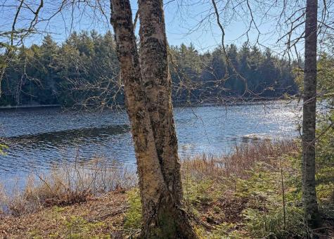10-13 Orrin Road Mariaville ME 04605
