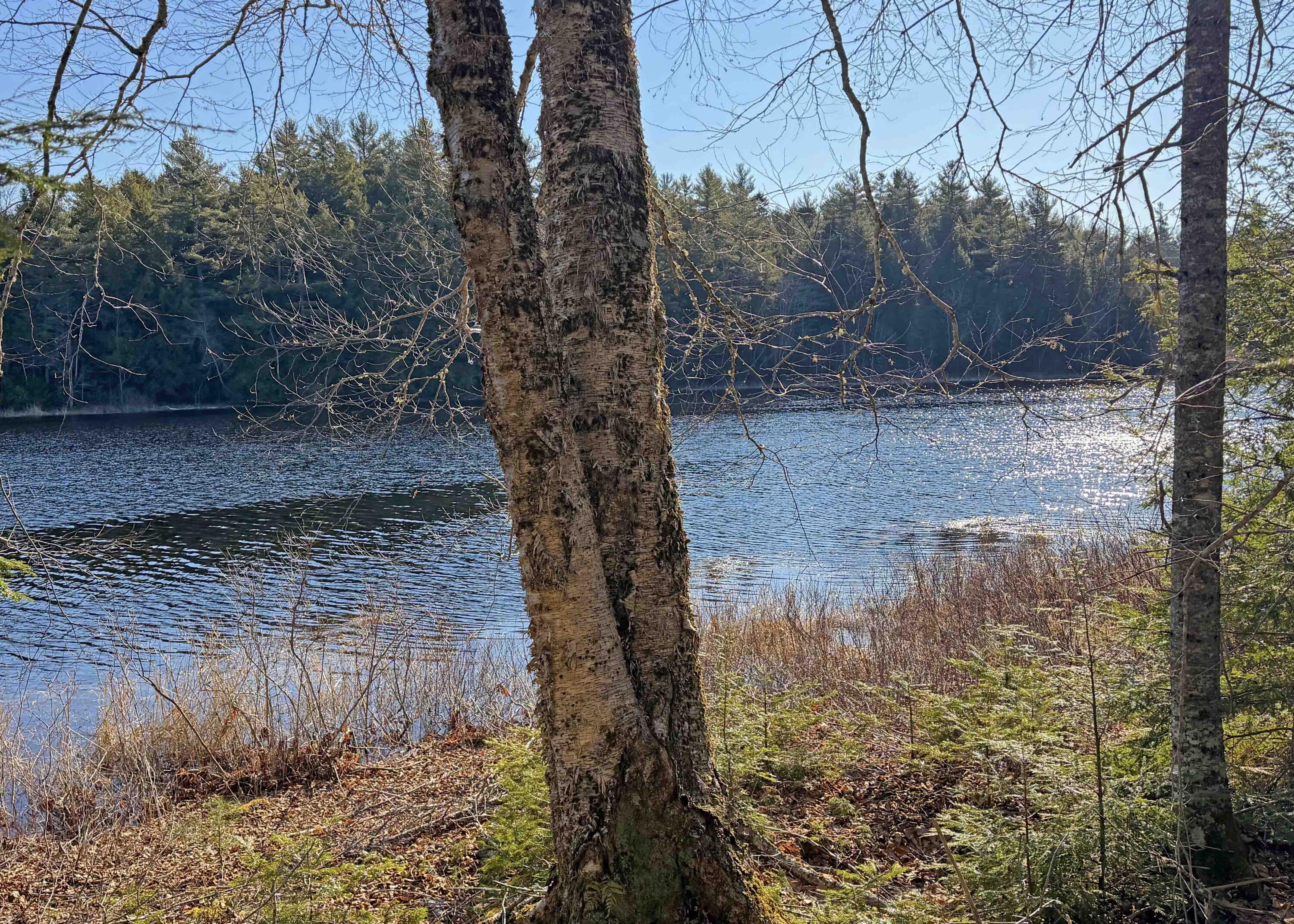 10-13 Orrin Road Mariaville ME 04605