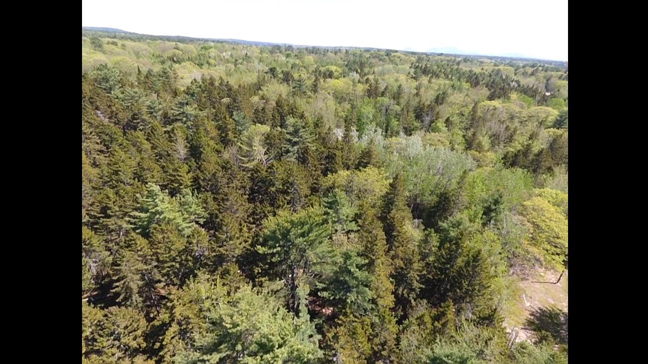 45 Higg Street Sullivan ME 04664