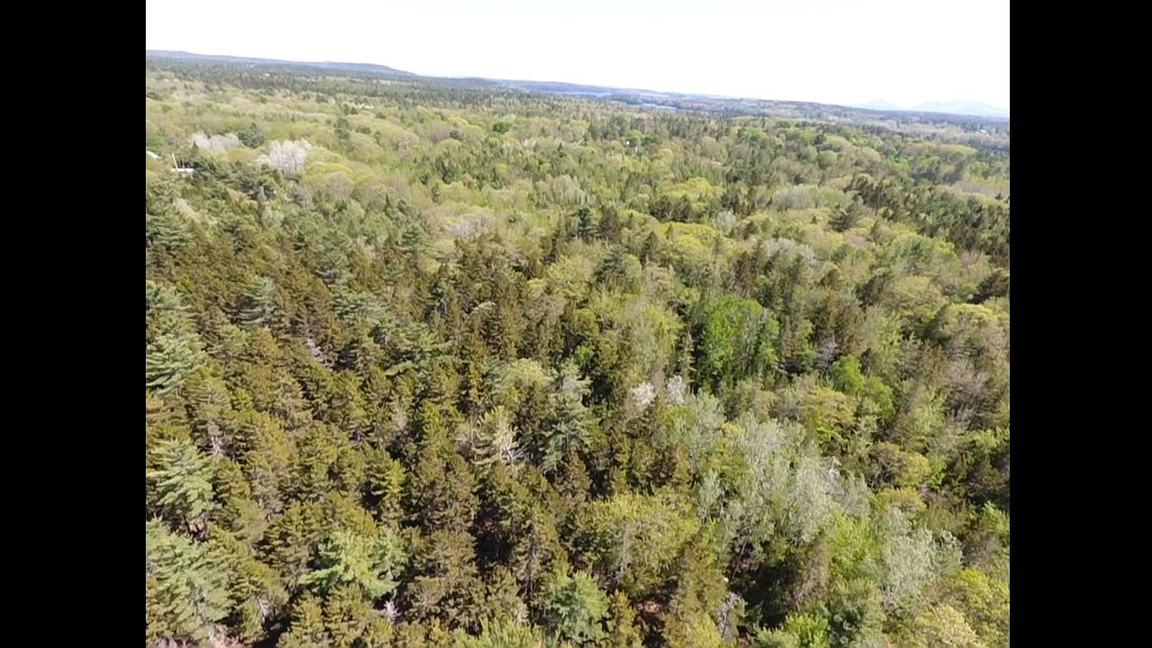 45 Higg Street Sullivan ME 04664