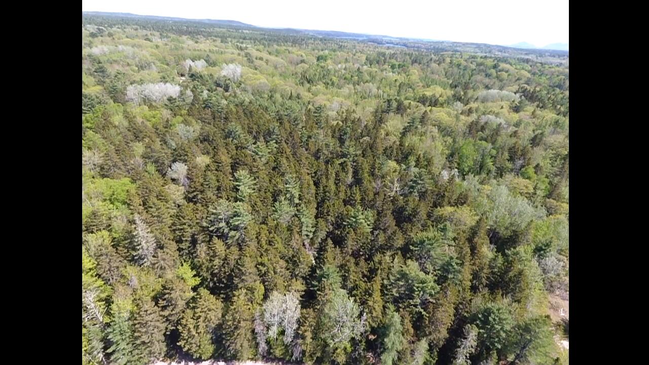 45 Higg Street Sullivan ME 04664