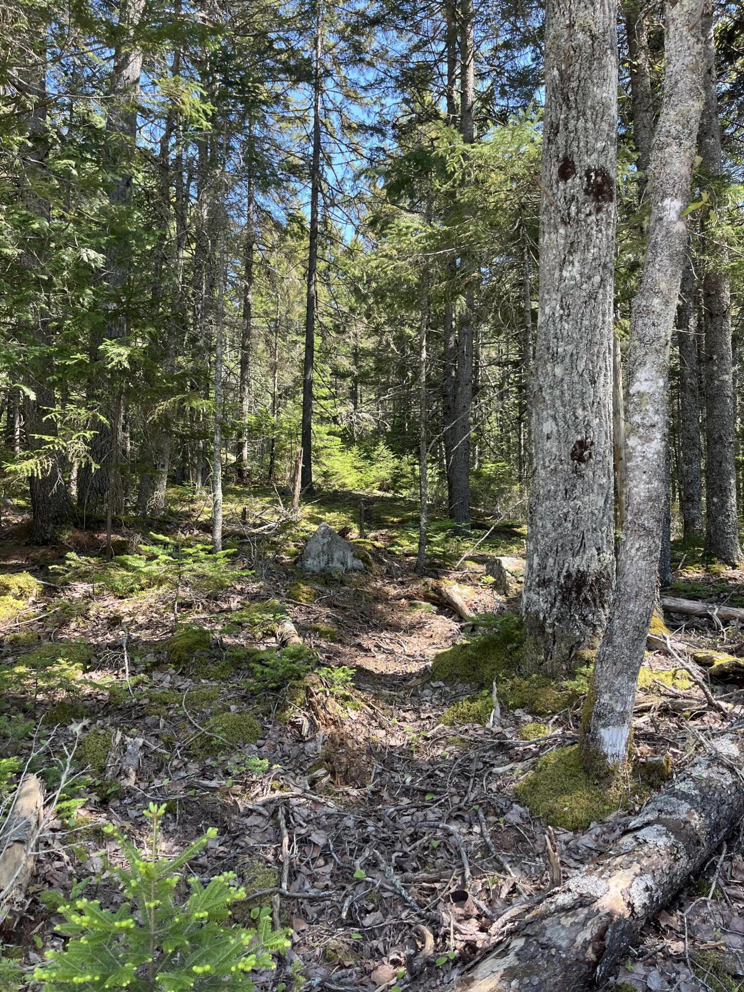 45 Higg Street Sullivan ME 04664