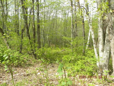 Lot 35 Bennett Road Alfred ME 04002