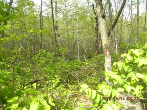 Lot 35 Bennett Road Alfred ME 04002