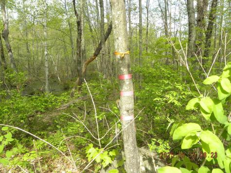 Lot 35 Bennett Road Alfred ME 04002