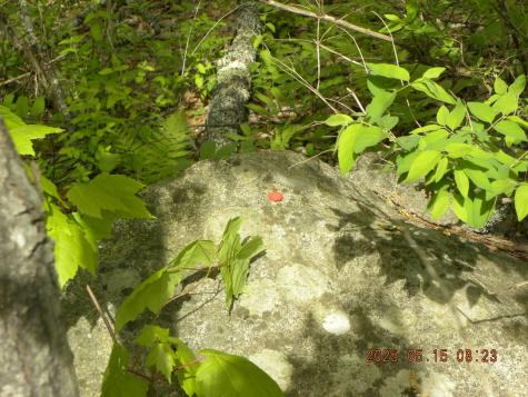 Lot 35 Bennett Road Alfred ME 04002