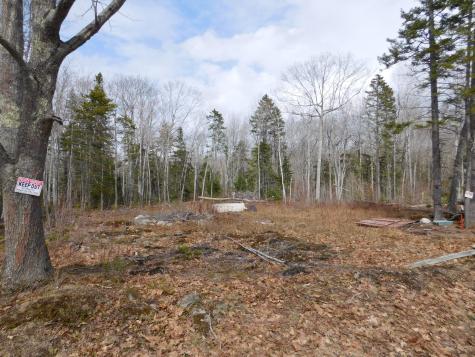 Lot # 0 Beech Hill Road Northport ME 04849