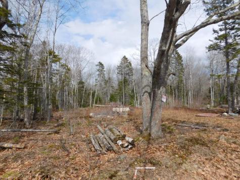 Lot # 0 Beech Hill Road Northport ME 04849