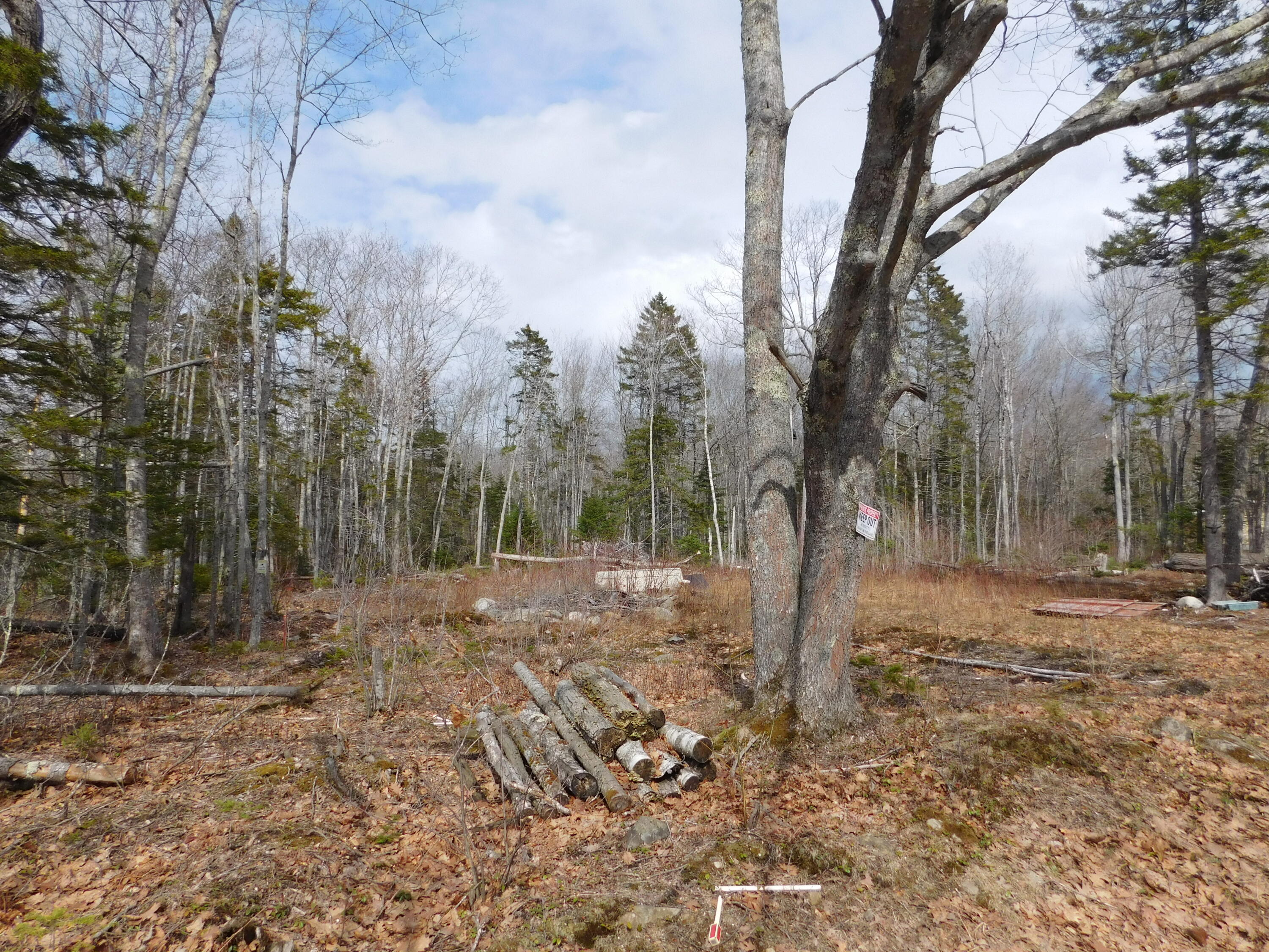 Lot # 0 Beech Hill Road Northport ME 04849