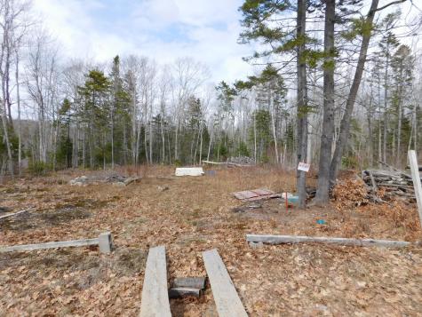 Lot # 0 Beech Hill Road Northport ME 04849