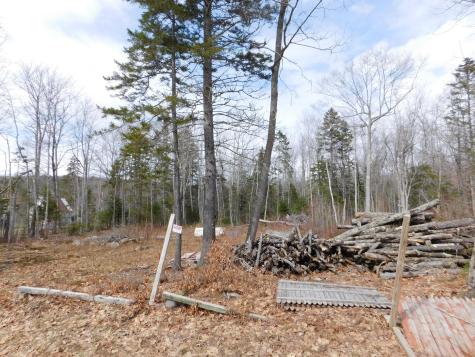 Lot # 0 Beech Hill Road Northport ME 04849