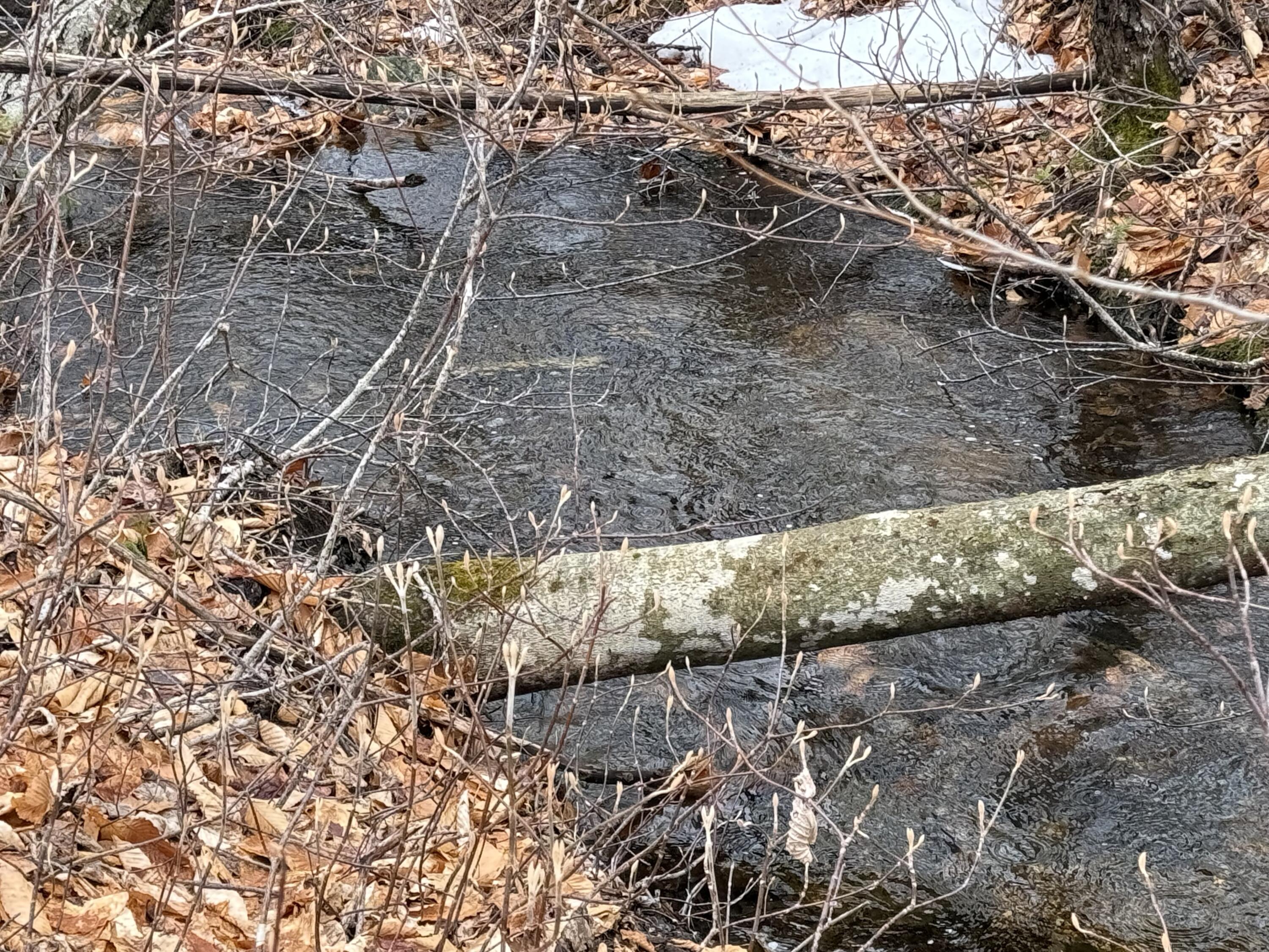 Lot 12w Mountain View Drive Temple ME 04984