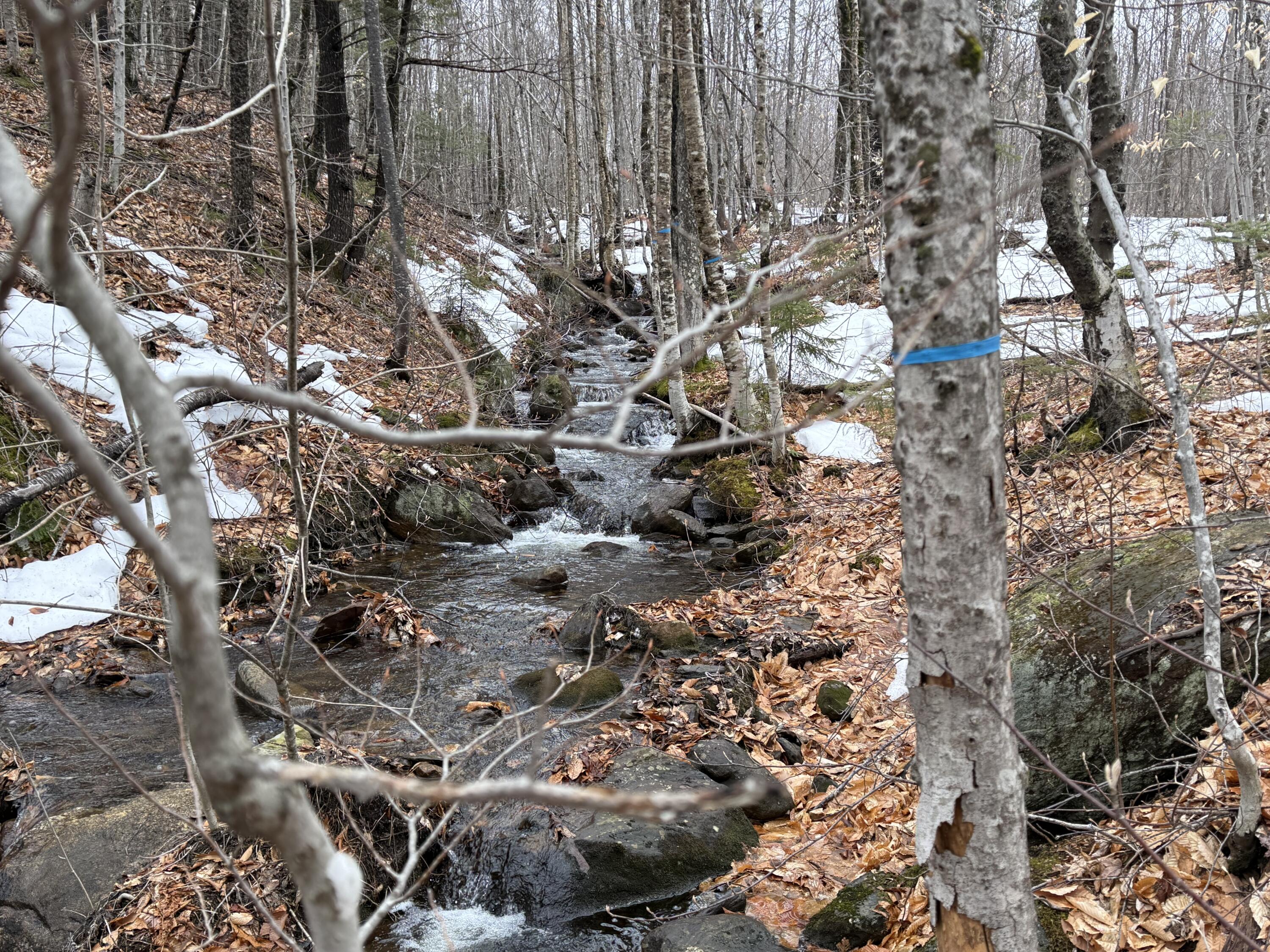 Lot 12w Mountain View Drive Temple ME 04984