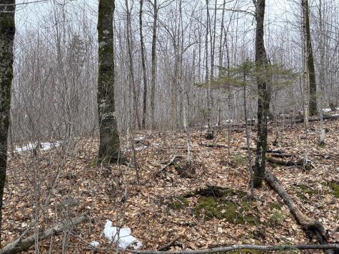 Lot 12w Mountain View Drive Temple ME 04984