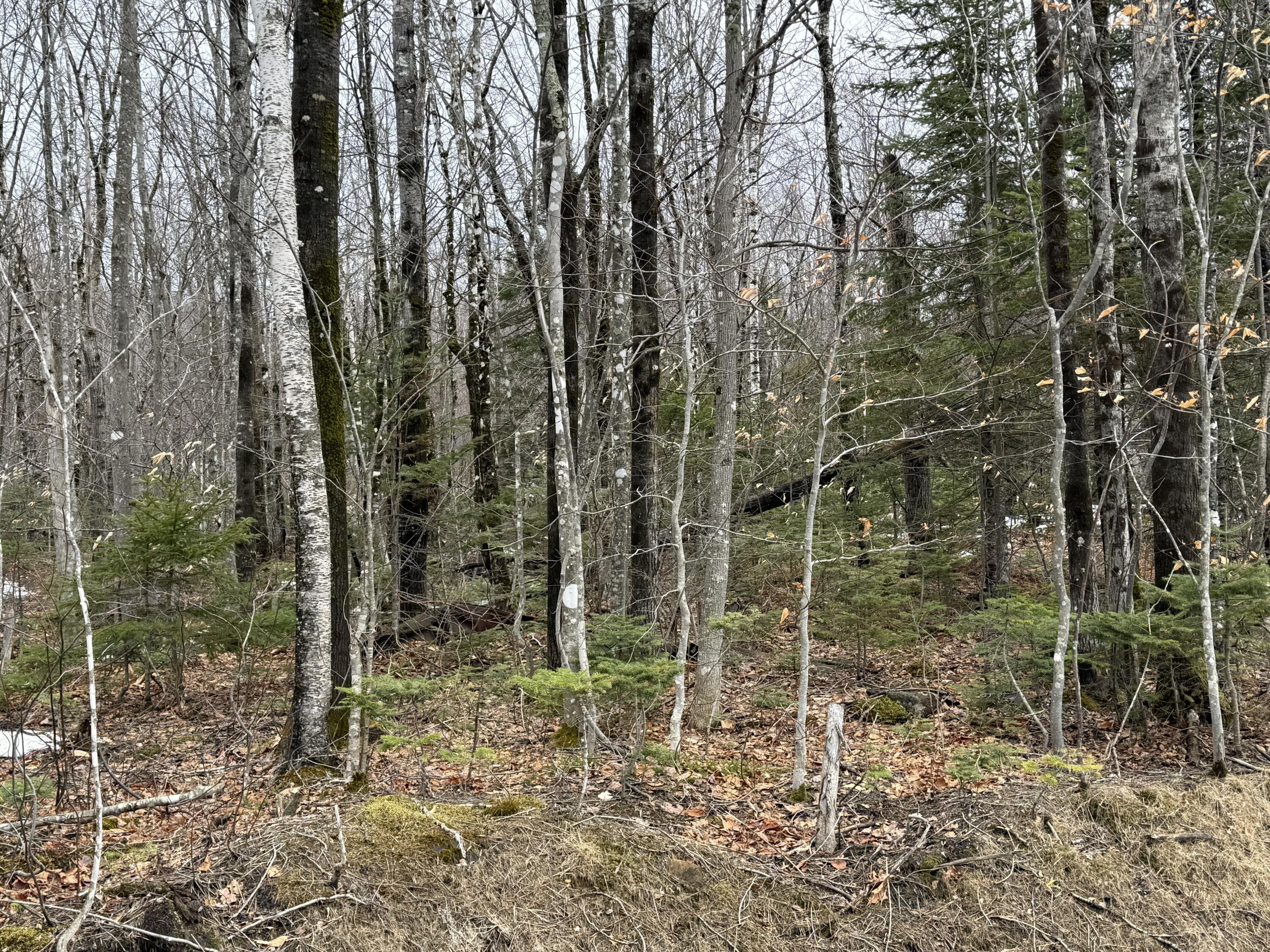 Lot 12w Mountain View Drive Temple ME 04984