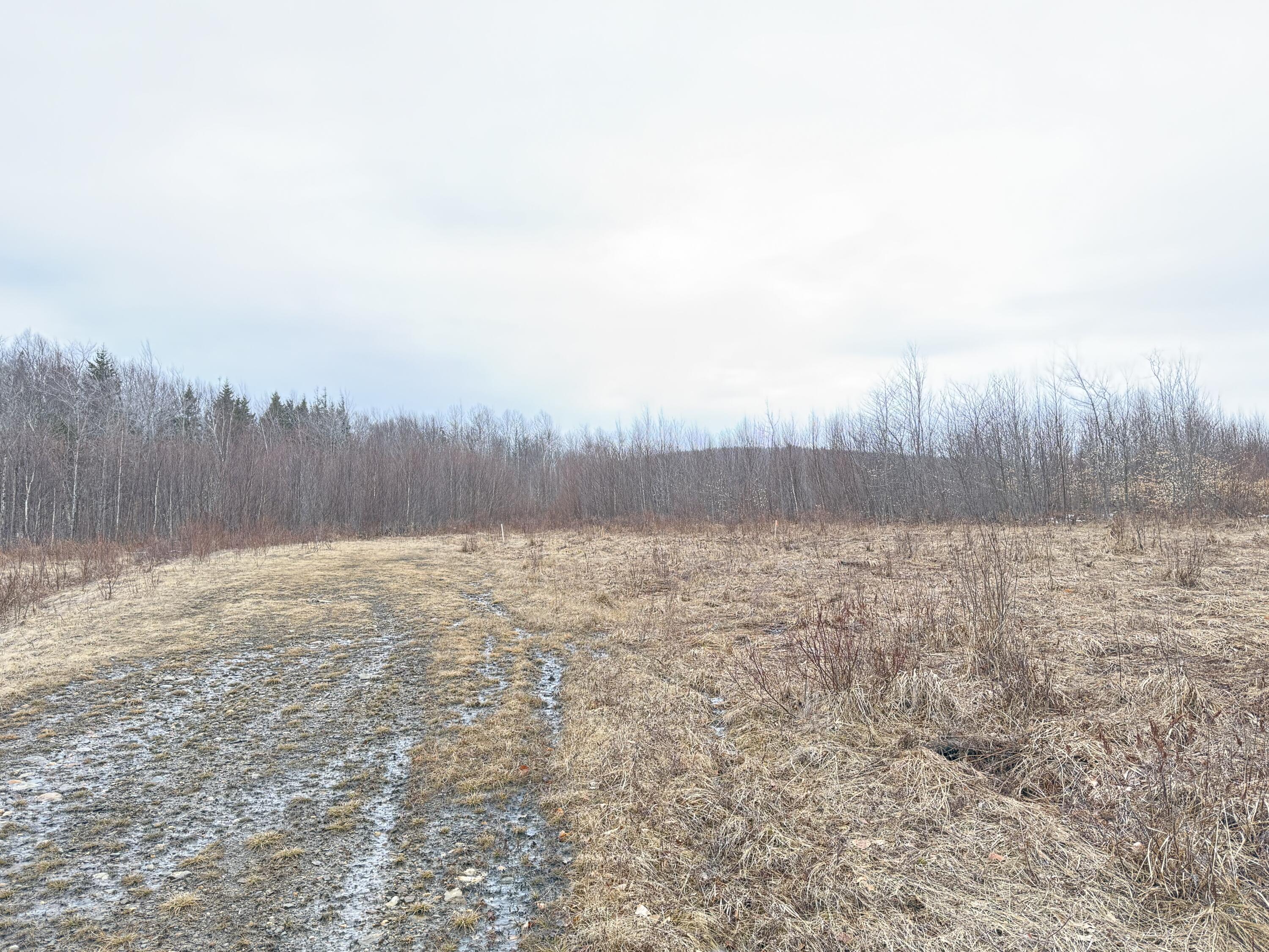 Lot 12w Mountain View Drive Temple ME 04984