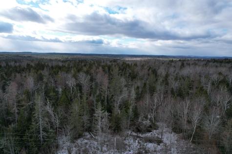 Lot 51 Us-1 Perry ME 04667