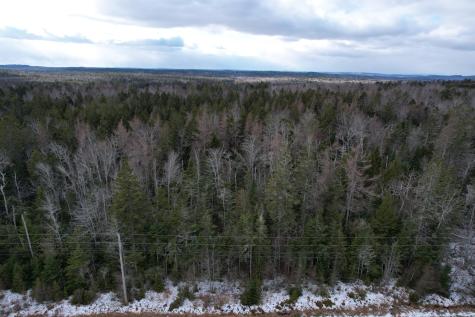 Lot 51 Us-1 Perry ME 04667
