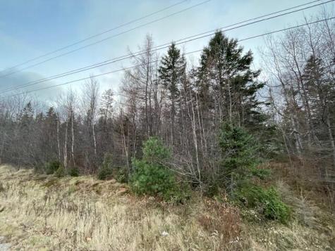 Lot 51 Us-1 Perry ME 04667