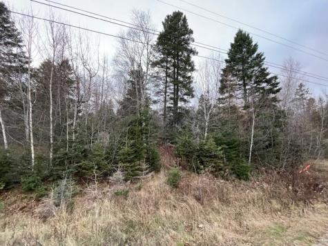 Lot 51 Us-1 Perry ME 04667