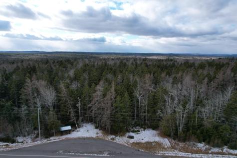 Lot 51 Us-1 Perry ME 04667