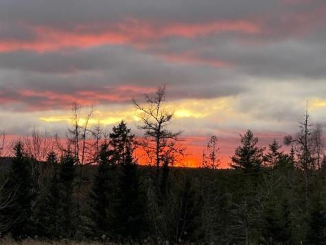 Lot 51 Us-1 Perry ME 04667