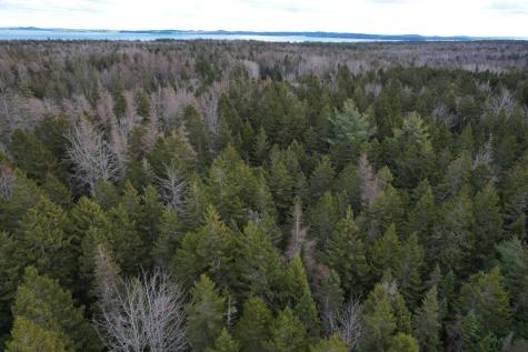 Lot 51 Us-1 Perry ME 04667