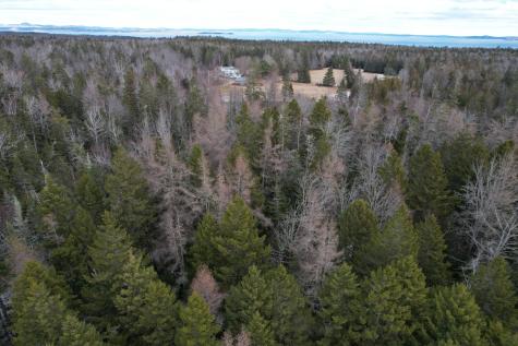 Lot 51 Us-1 Perry ME 04667