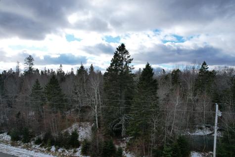 Lot 51 Us-1 Perry ME 04667