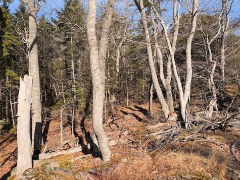 0 Balsam Lane Mount Desert ME 04660