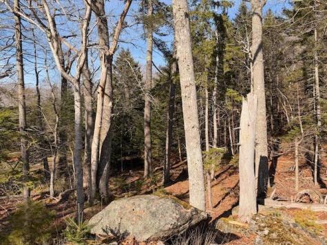 0 Balsam Lane Mount Desert ME 04660