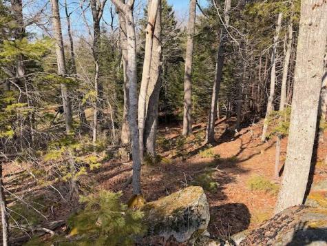 0 Balsam Lane Mount Desert ME 04660
