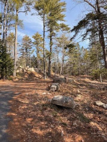0 Balsam Lane Mount Desert ME 04660