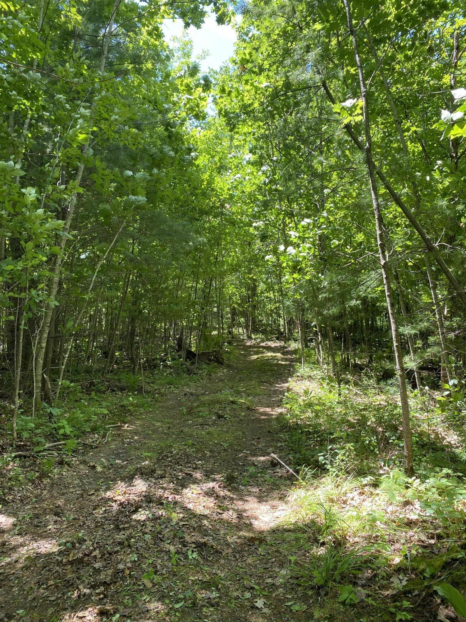 0 Poppy Lane Carthage ME 04224