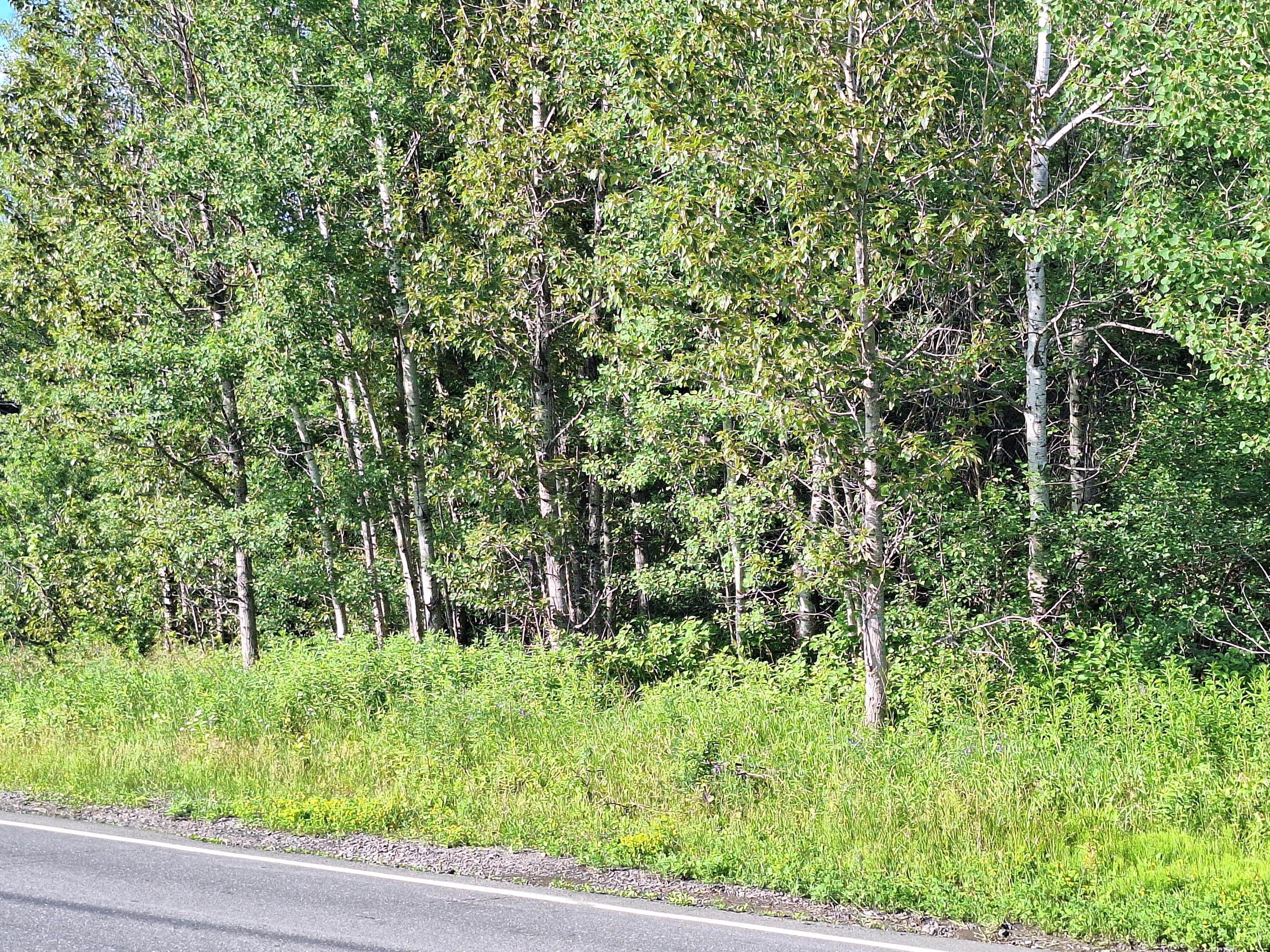 Lot 36-d Grimes Road Caribou ME 04736