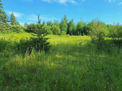 Lot 36-d Grimes Road Caribou ME 04736