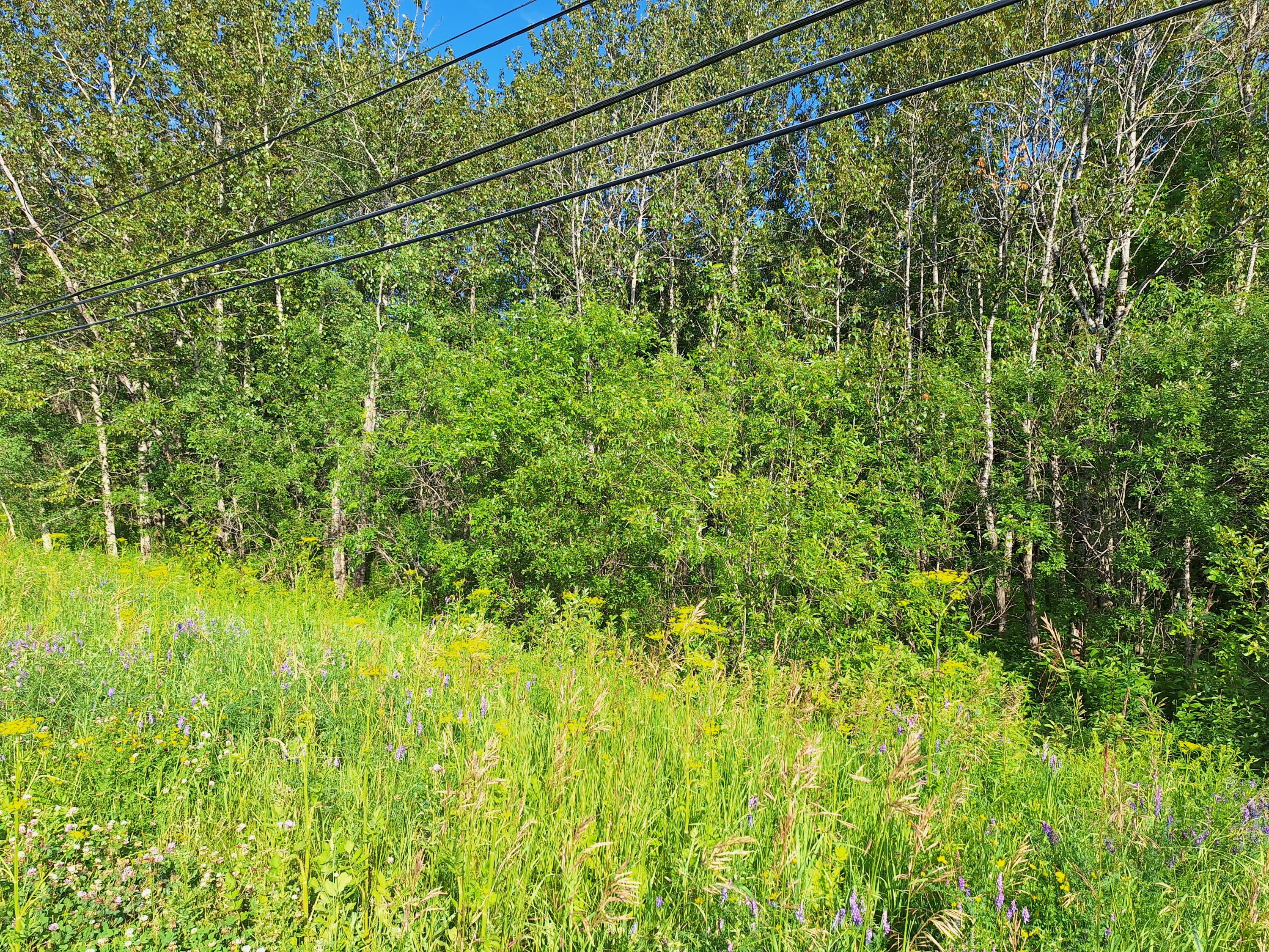 Lot 36-d Grimes Road Caribou ME 04736