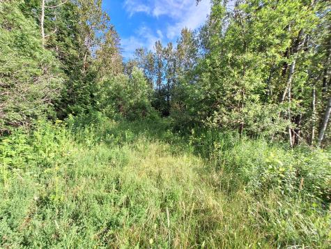 Lot 36-d Grimes Road Caribou ME 04736