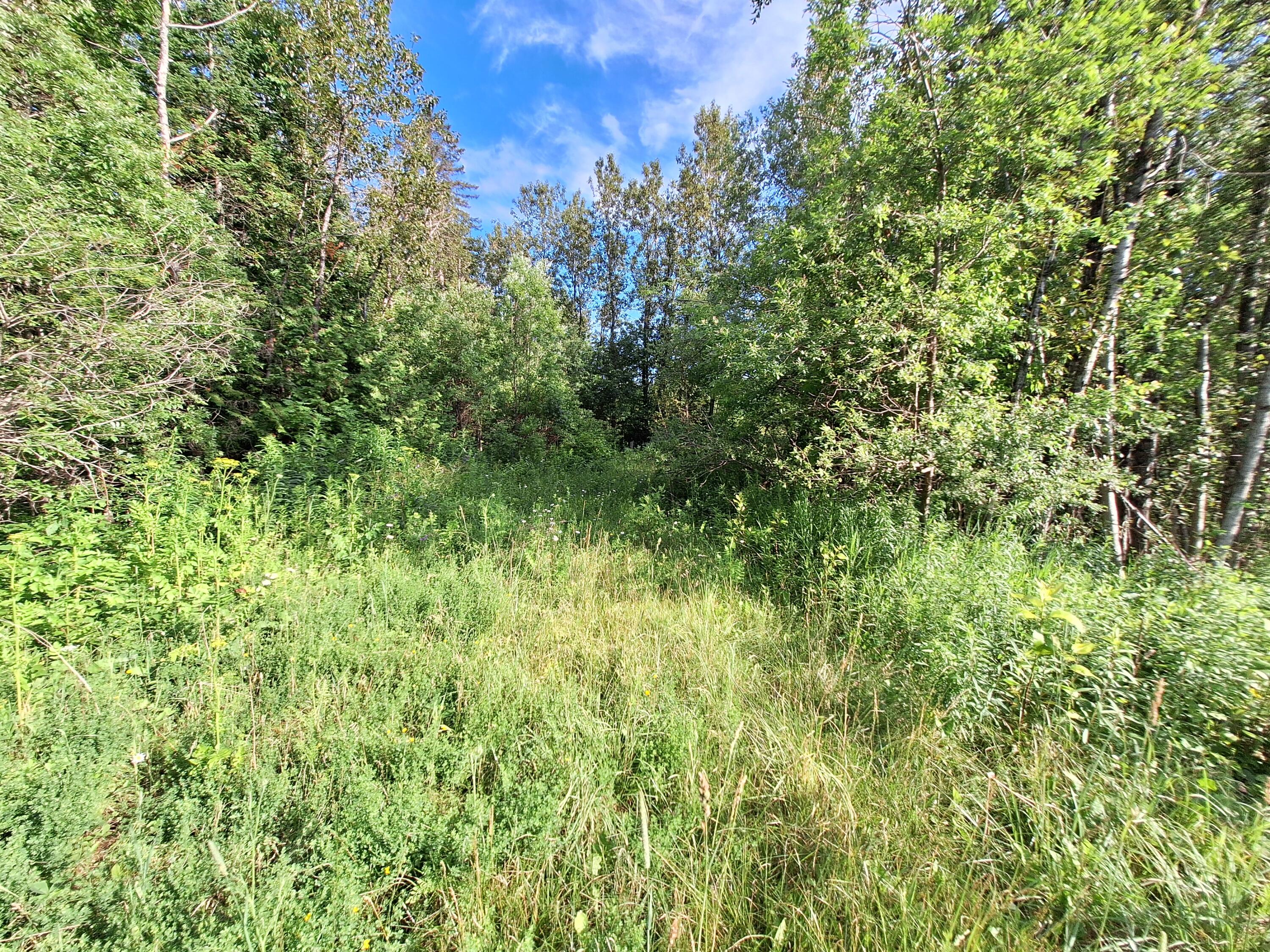 Lot 36-d Grimes Road Caribou ME 04736