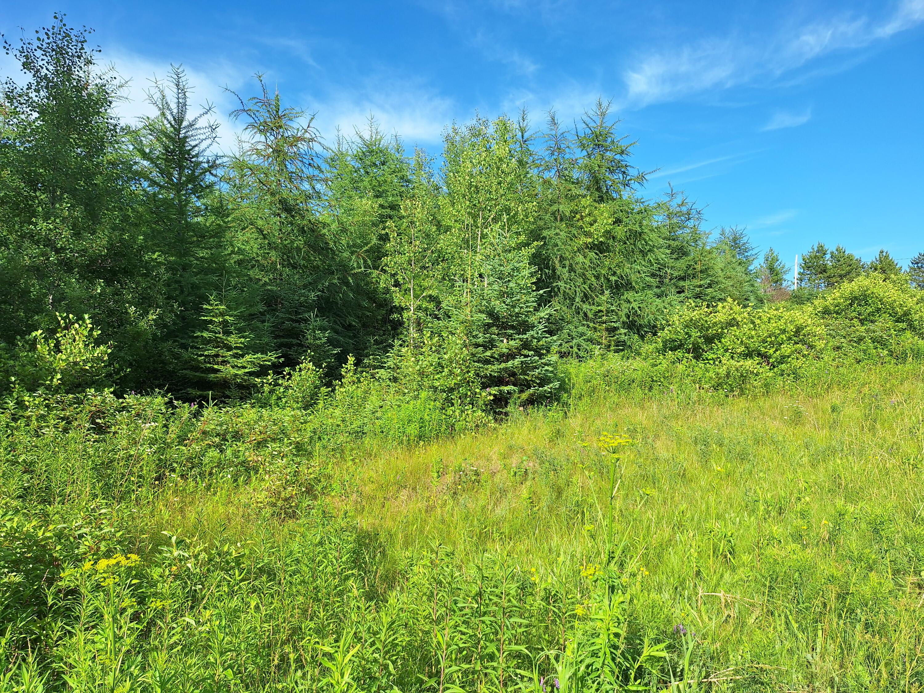 Lot 36-d Grimes Road Caribou ME 04736