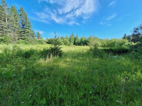Lot 36-d Grimes Road Caribou ME 04736