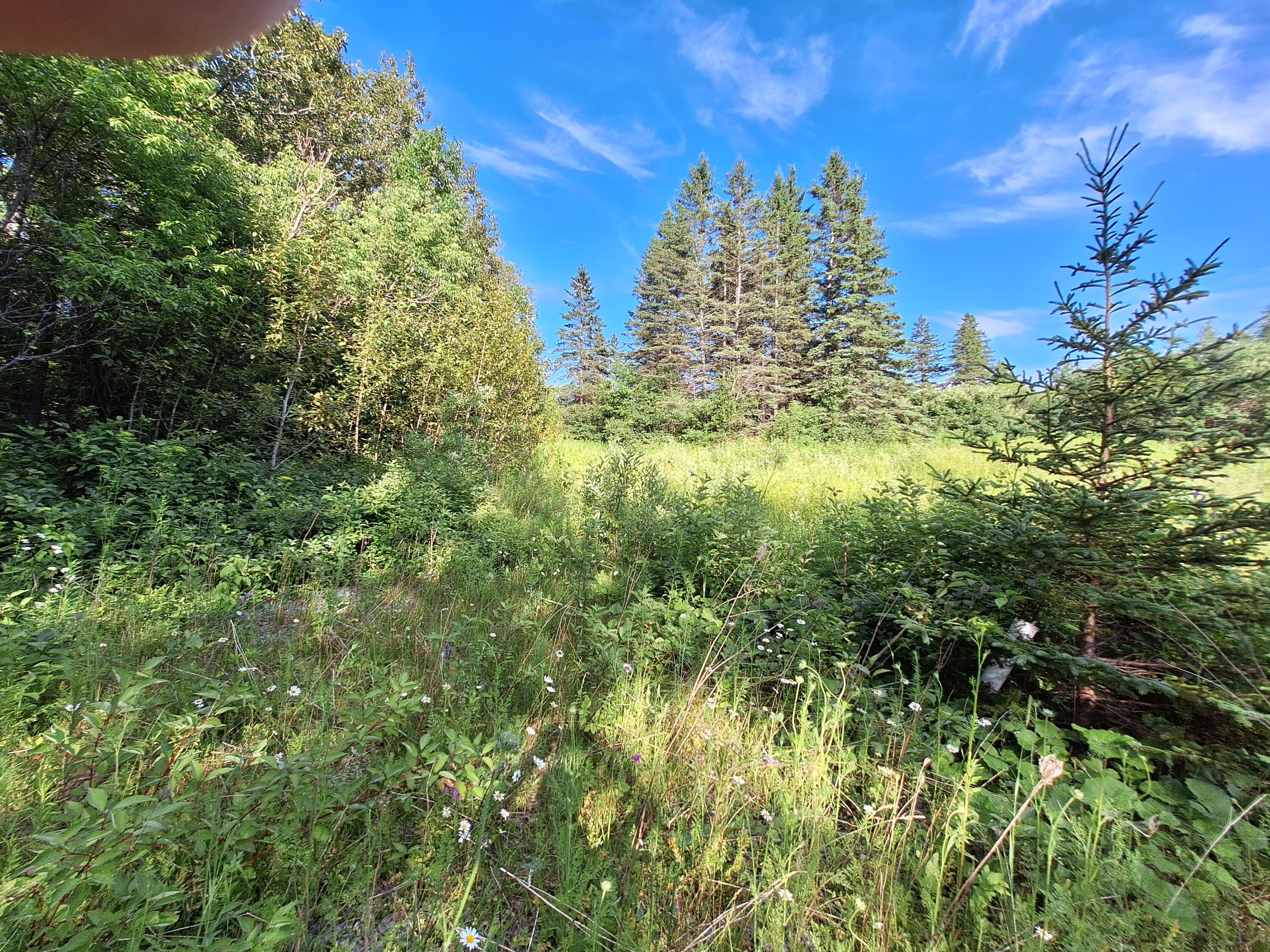 Lot 36-d Grimes Road Caribou ME 04736